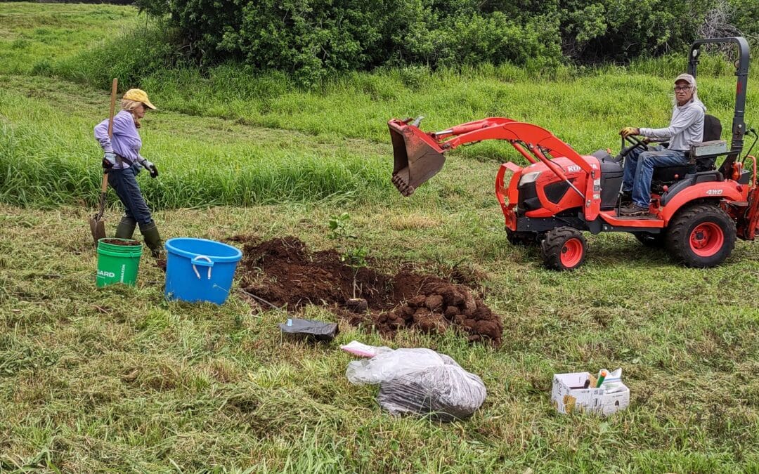 Food Trees Project:  Planting Local, Long-Term Food Sources